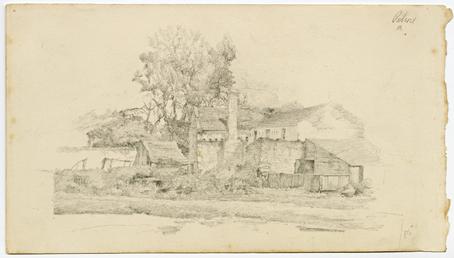 Pulrose by Archibald Knox