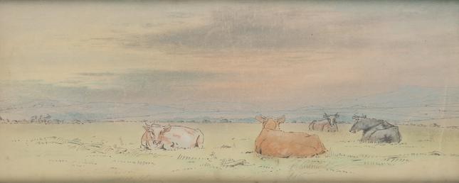 Cattle and landscape