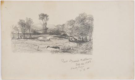 Pond at Moore's, Ballown