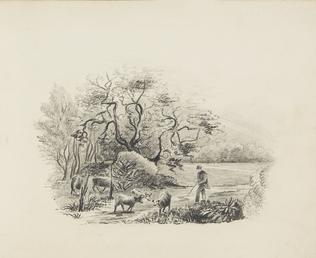 Farmer with cattle. Trees to left-hand side with…