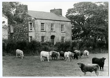 Ballayonaigue Farm, Bride