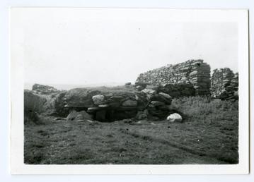 Stone-built goose nests at Corrody farm, Lezayre