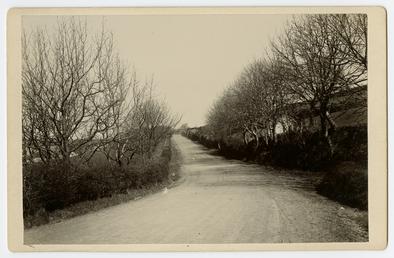 Road between Cronk-y-voddey and Barregarrow, Michael