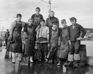 Irish men barrelling herring, Port St Mary