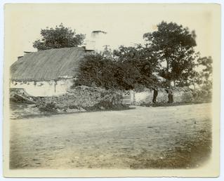 Thatched cottage in tree-covered garden