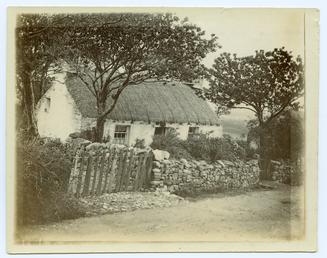 Thatched cottage and surrounding garden