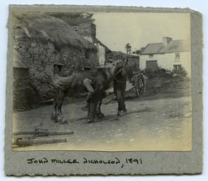 Horse outside a thatched farm building