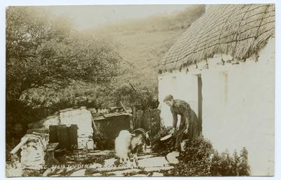 Woman feeding a goat outside a cottage at…