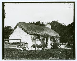 Woman feeding ducks outside a thatched cottage