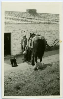 Cregneash Horse outside Smithy