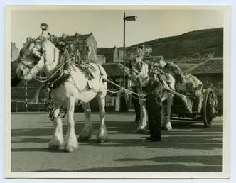 Horse and cart at the Douglas Carnival