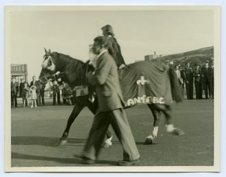 Douglas Carnival, and the horse 'Joan of Arc'