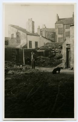 Man and dog view scene of destruction, Douglas