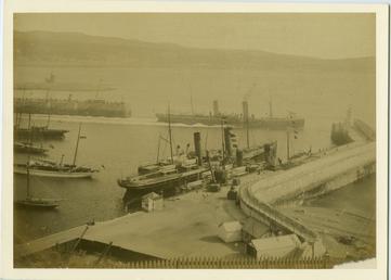 Douglas Pier and Harbour