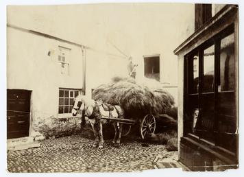 Horse and cart on unidentified Douglas street