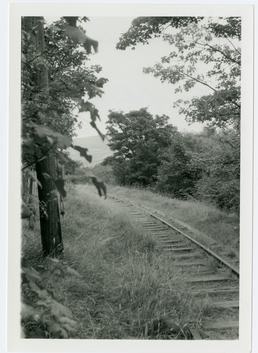 Railway line at Glenfaba