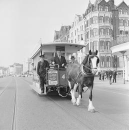 Travel agents on horse tram, Douglas Promenade