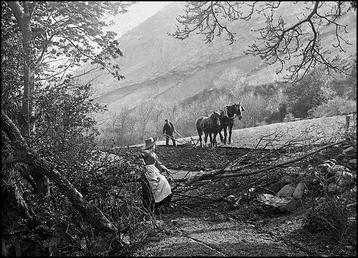 Ploughing in Sulby Glen, Isle of Man