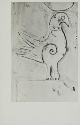 Photograph of sketch of collared bird, Sandulf's Cross,…