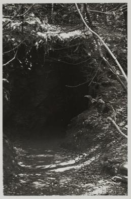 Dirk Hatterick's cave, upper entrance, Garwick Glen, Lonan