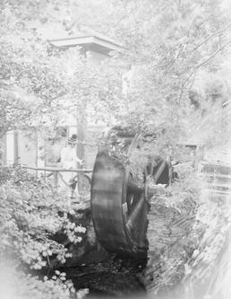 Woman viewing Groudle glen water wheel from a…