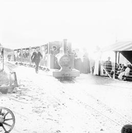 Crowded steam train at the 'Sea Lion Cove'…