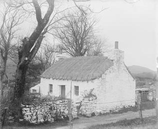 Thatched Manx cottage with wall by roadside