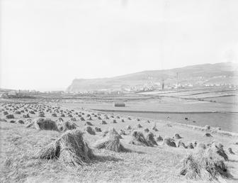 Stooks at harvest with Port Erin and Bradda…