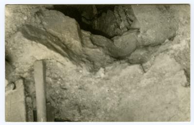 Cellar vault revealed by collapse of the floor…