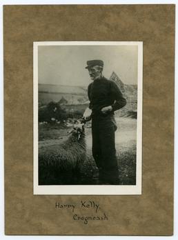 Harry Kelly feeding a sheep at Cregneash