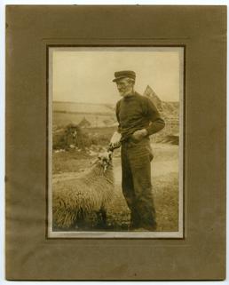 Harry Kelly feeding a lamb
