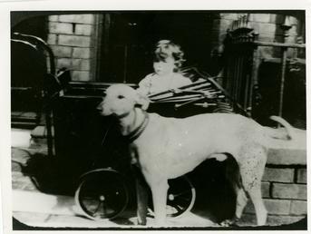Lillian Taggart in her pram, with a pet…
