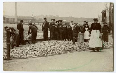 Fishing catch on the East Quay, Ramsey