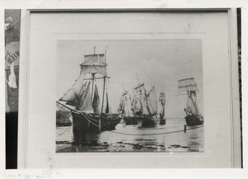 The schooners 'Progress', 'Jilt', 'Agnes Glover', 'Venus' and…