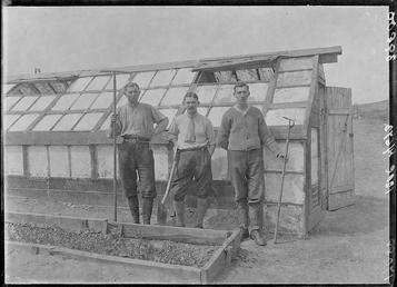 First World War Internees outside Greenhouses, Allotments, Knockaloe…