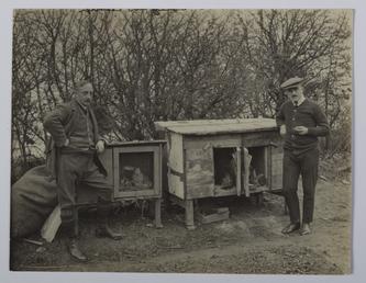 First World War Internees who were rabbit breeders…
